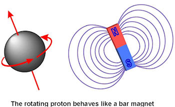 Proton like magnet