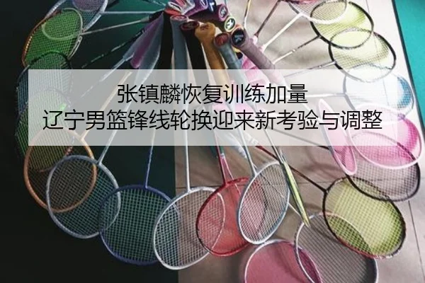 张镇麟恢复训练加量 辽宁男篮锋线轮换迎来新考验与调整